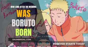 Boruto's Arrival: The Timing of His Birth After the Wedding