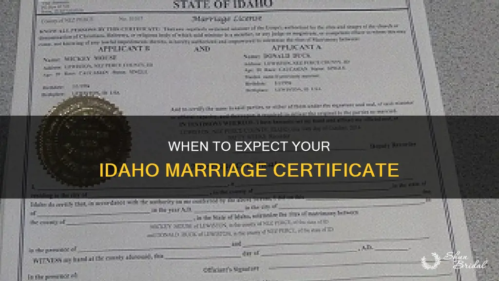 how long after wedding to get marriage certificate in idaho