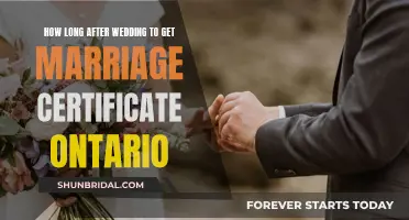 Understanding Marriage Certificate Timelines in Ontario: A Post-Wedding Guide