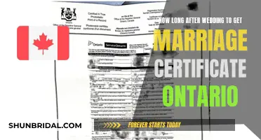 When to Get Your Ontario Marriage Certificate After Wedding