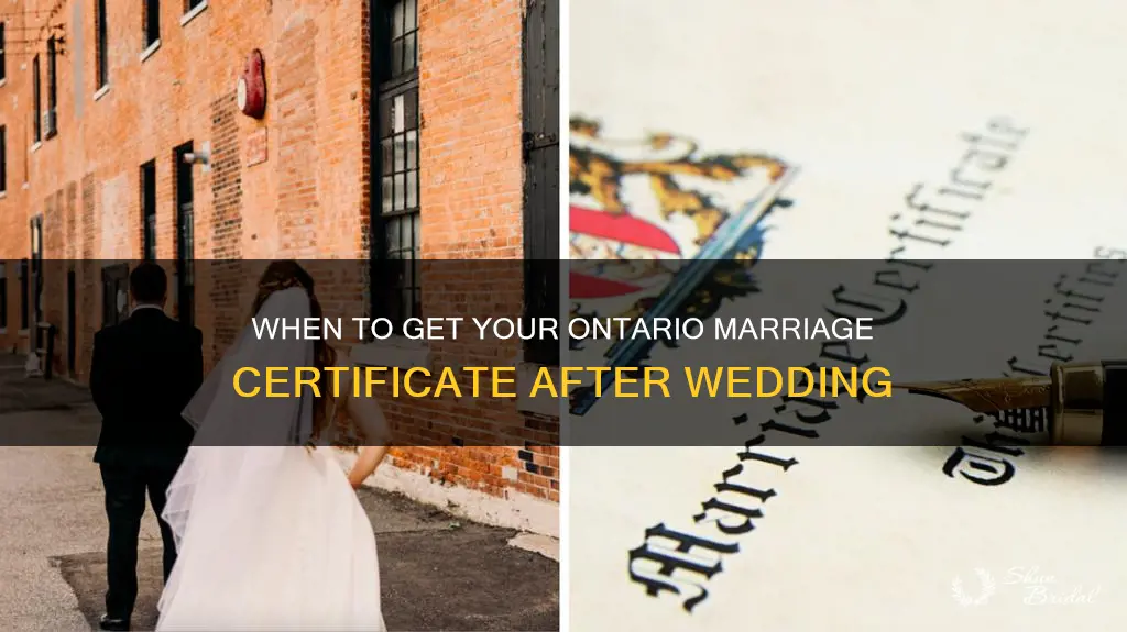 how long after wedding to get marriage certificate ontario