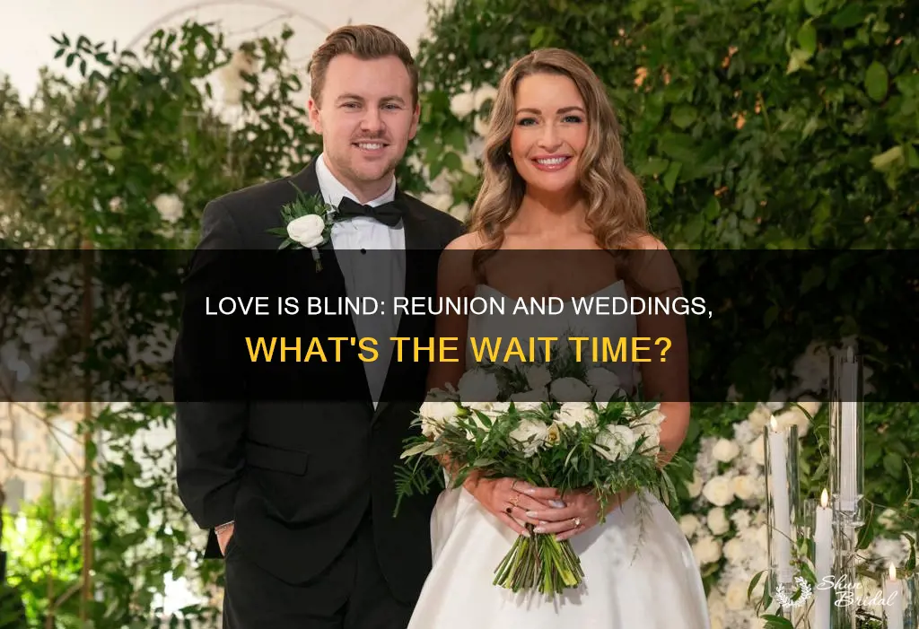 how long after weddings is love is blind reunion