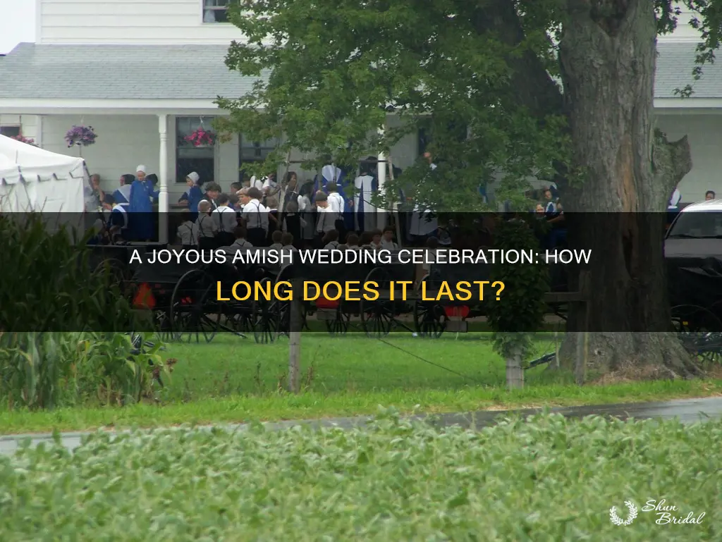 how long are amish weddings