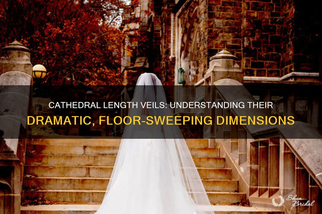 how long are cathedral length veils