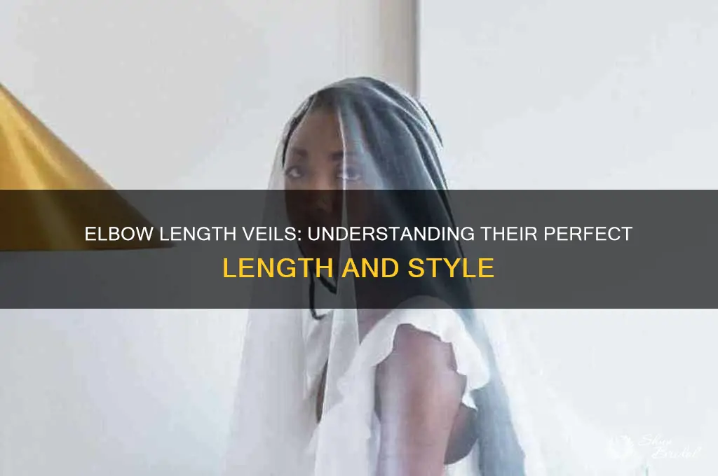 how long are elbow length veils