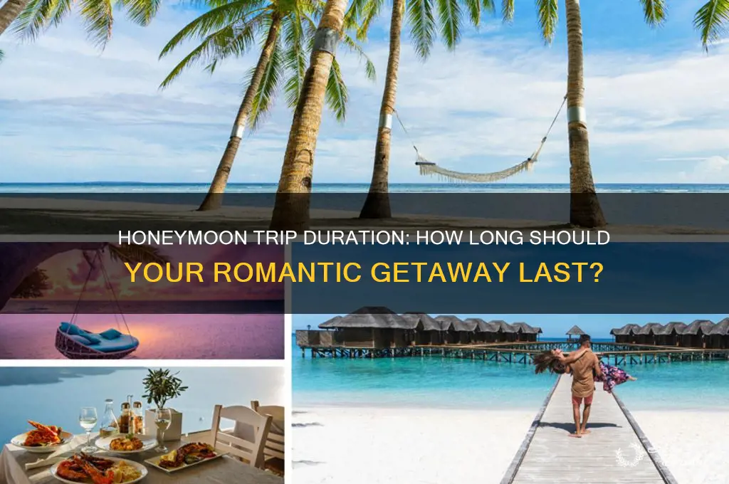 how long are honeymoon trips