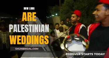 Palestinian Wedding Celebrations: Elaborate, Multi-Day Extravaganzas