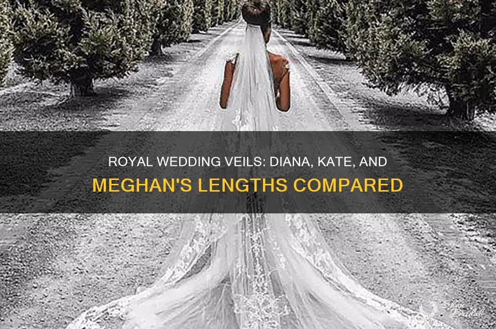 how long are the veils of diana kate and meghan