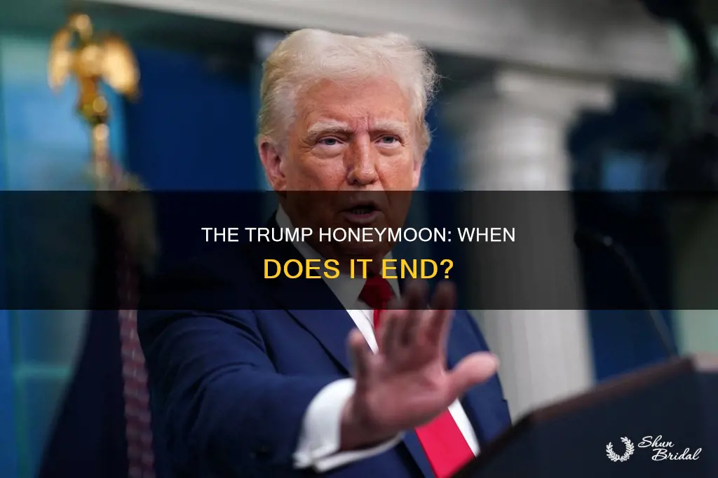 how long before the honeymoon period is over trump