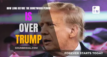 Trump's Honeymoon: How Long Will the Romance Last?