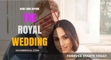 Countdown to the Royal Wedding: Anticipation Builds for the Big Day