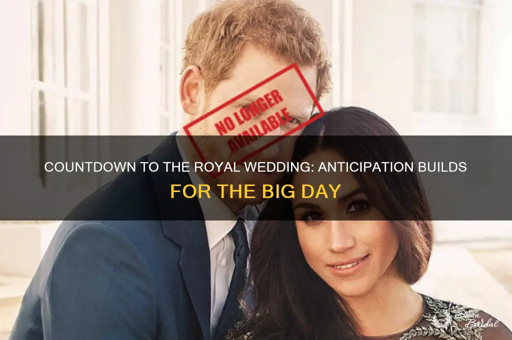 how long before the royal wedding