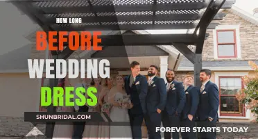 Finding the Perfect Wedding Dress Timeline