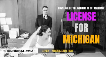 Planning Your Michigan Wedding: When to Get Your Marriage License