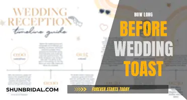 The Perfect Timing for Wedding Toasts: A Guide