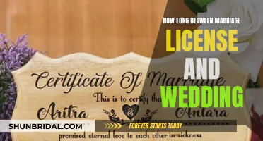 From License to Vows: Navigating the Timeline for Your Dream Wedding