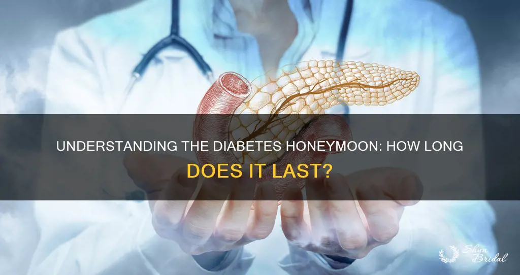 how long can a diabetes honeymoon last