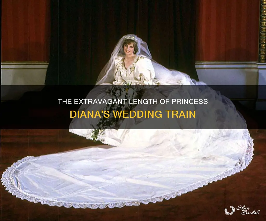 how long dianas wedding train