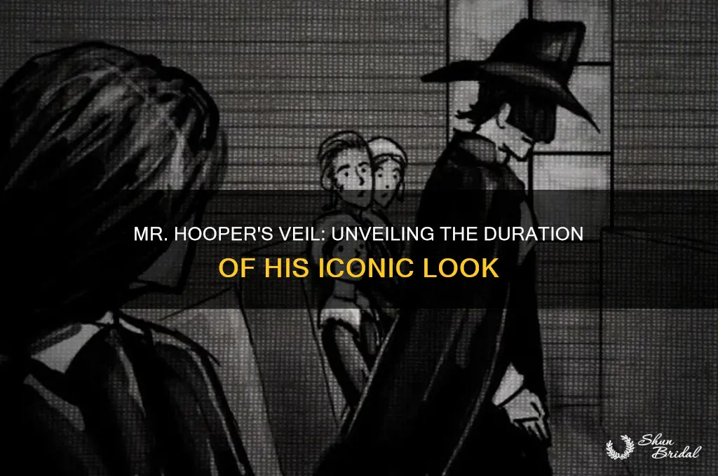 how long did the mr hooper wear the veil