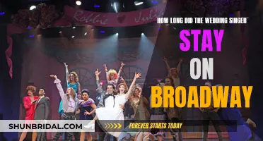 The Wedding Singer's Broadway Run: How Long Did It Last?