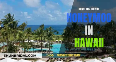 Honeymoon in Hawaii: A Journey of Love and Adventure