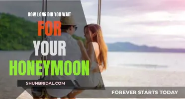 Waiting for the Perfect Honeymoon Moment: Our Timeline and Yours