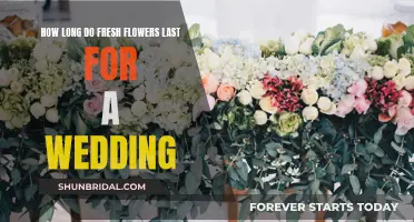 The Ultimate Guide to Wedding Flower Lifespan