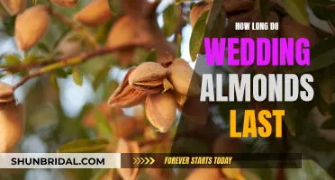 Wedding Almonds: How Long Do They Stay Fresh?