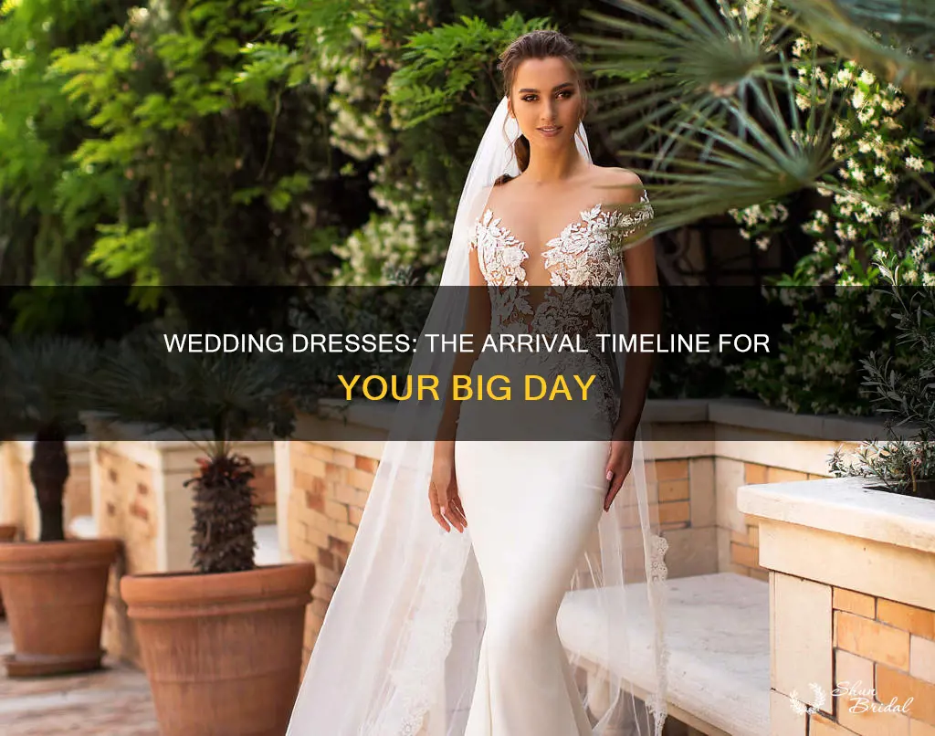 how long do wedding dresses take to come in