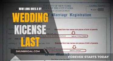 The Expiry of Your Marriage License: Understanding the Timeline