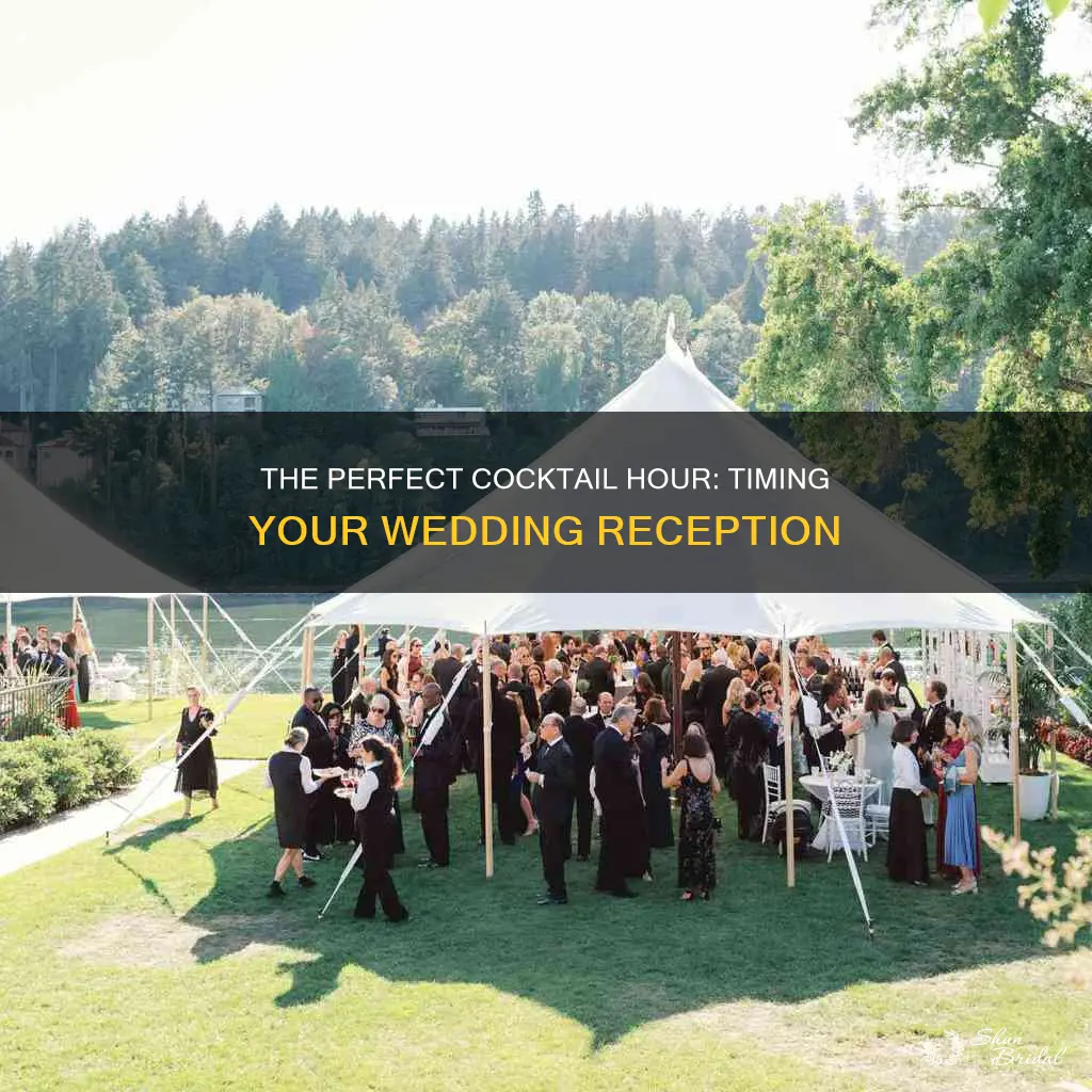 how long does a cocktail wedding reception last