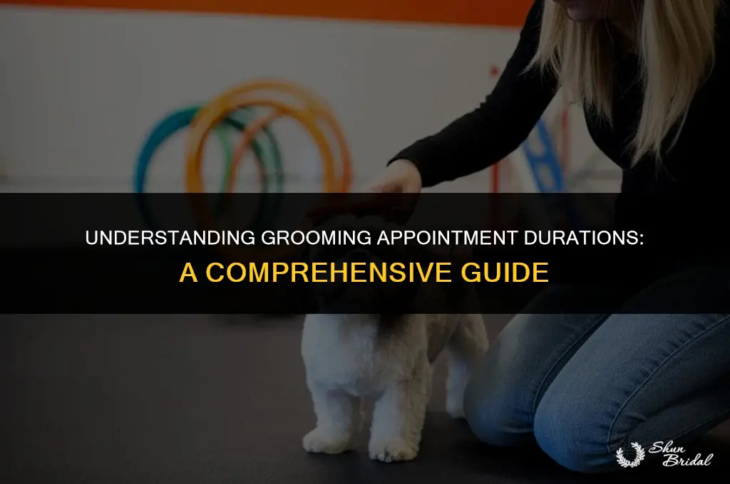 how long does a grooming appointment take