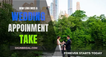 The Time It Takes to Plan Your Wedding