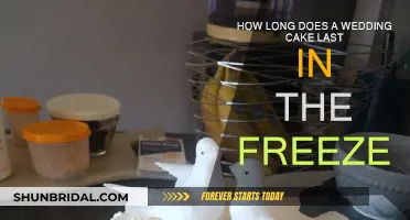 Freezing Wedding Cake: How Long Can You Keep It?