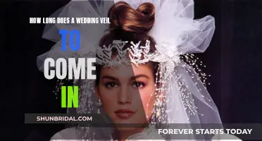 Veil Delivery: How Long Does the Wait Last?