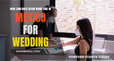 Blood Work in Mexico: How Long Does it Take?