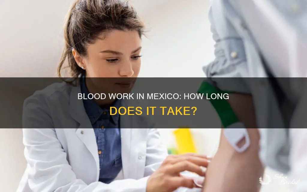 how long does blood work tske in mexico for wedding