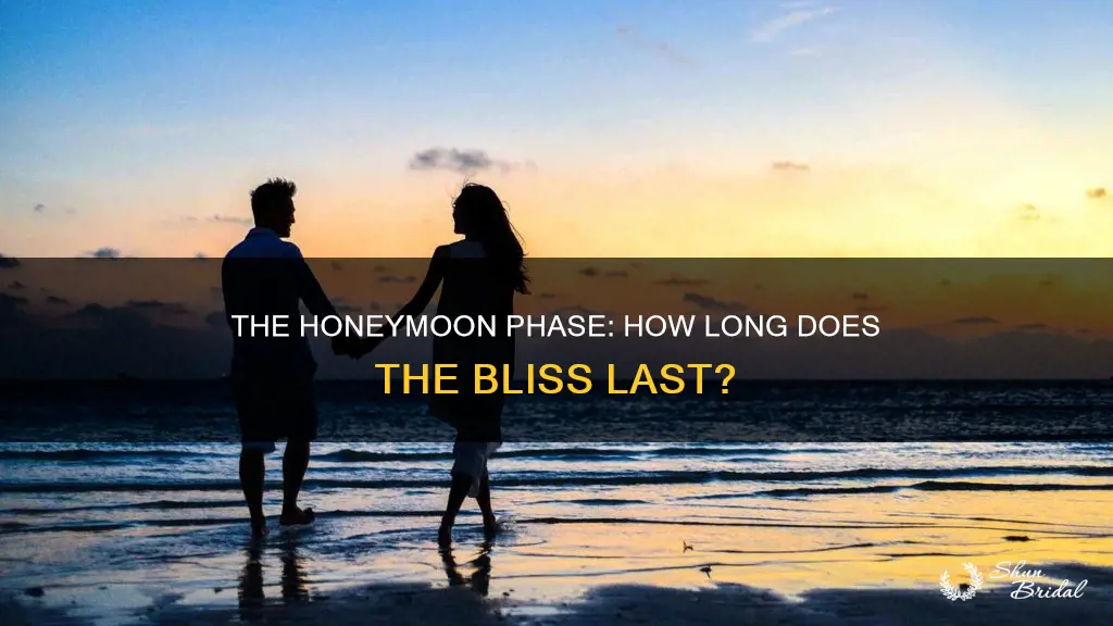 how long does dating honeymoon phase last