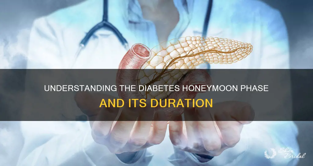 how long does diabetes honeymoon last