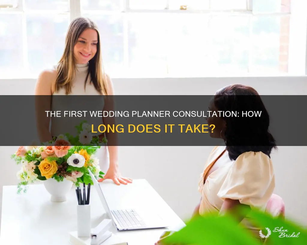 how long does first wedding planner consultation take