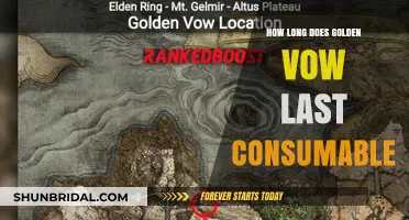 Golden Vow Consumable Duration: How Long Does Its Effect Last?