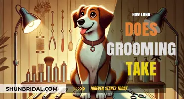 Mastering the Art of Grooming: A Timeless Investment in You