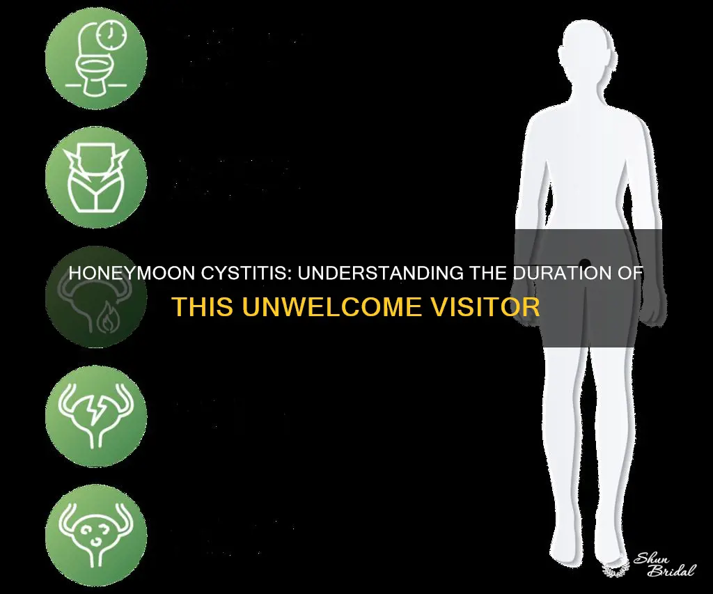 how long does honeymoon cystitis last