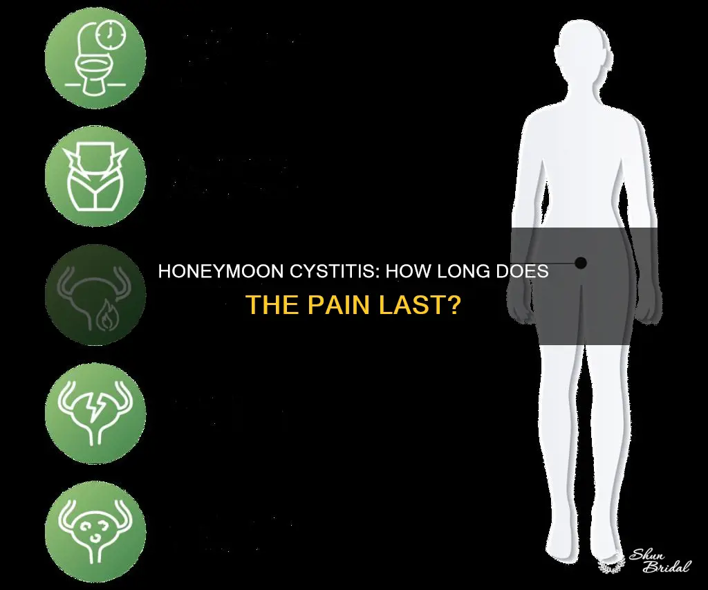 how long does honeymoon cystitis last
