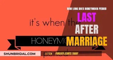The Uncertain Expiry of Honeymoon Bliss After Marriage
