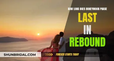 Understanding the Fleeting Nature of Rebound Relationships