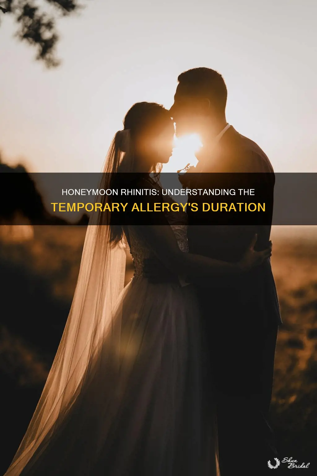 how long does honeymoon rhinitis last