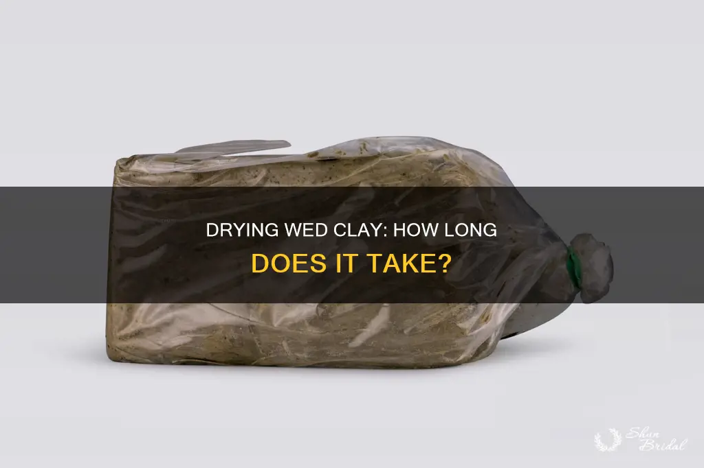 how long does it take to dry wed clay