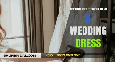 Steaming a Wedding Dress: How Long Does It Take?