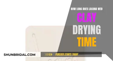 Laguna Wed Clay: Understanding Its Extended Drying Time